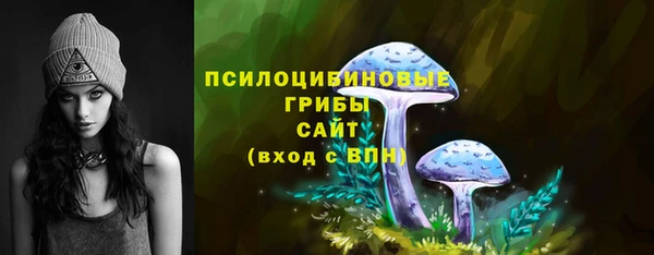 СК Алзамай